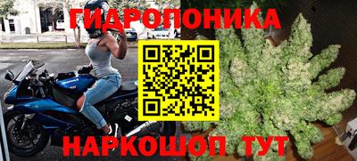 сатива Бузулук