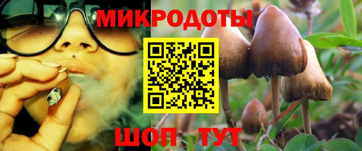Псилоцибиновые грибы мицелий Прокопьевск